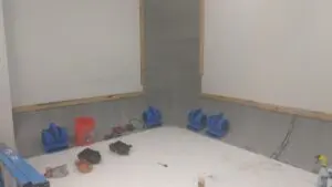 A room with some blue tools on the floor